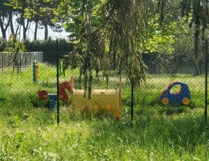 Viterbo - Erba alta nei giardini delle scuole