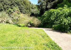 Viterbo - Degrado in via Tullio Cima