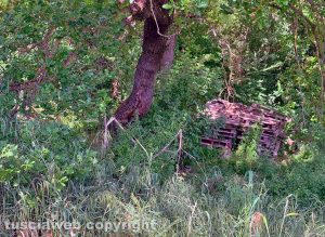 Vitorchiano - Il luogo dove sono stati trovati i gattini abbandonati