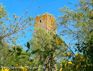 Soriano nel Cimino - La torre di Santa Maria di Luco