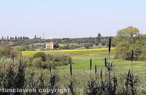 Panoramica sulla campagna viterbese
