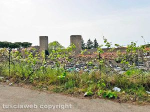 Viterbo - Una vigna lungo viale Armando Diaz