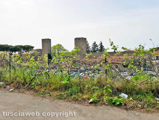 Viterbo - Una vigna lungo viale Armando Diaz
