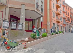 Viterbo - Via Matteotti - Nuove aiuole