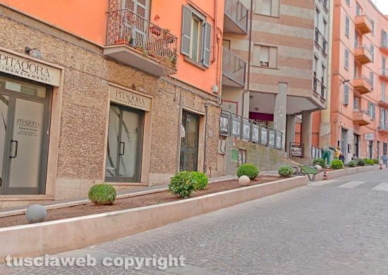 Viterbo - Via Matteotti - Nuove aiuole