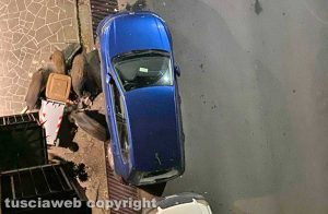 Viterbo - Cinghiali a spasso in via Piave