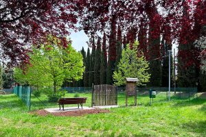 Vitorchiano - L'area di sgambatura dei cani