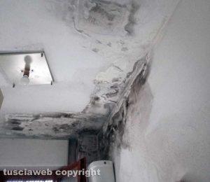 Viterbo - Santa Barbara - Case Ater nel degrado