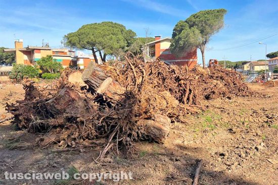 Tarquinia - I lavori in viale Mediterraneo