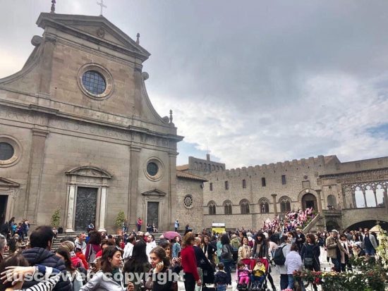 Viterbo - San Pellegrino in festa - edizione 2023