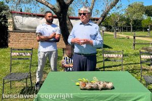 Viterbo - L'inaugurazione del centro sportivo Il Bullicame