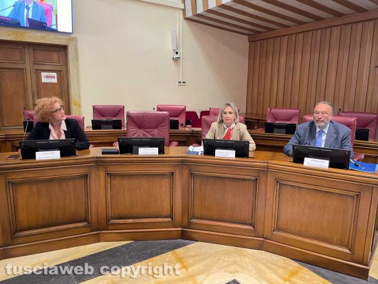 Viterbo - Consiglio provinciale - Delle Monache, De Alexandris e Di Fusco