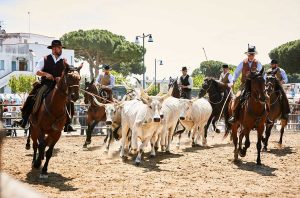 Montalto di Castro - fiera Maremma d'aMare