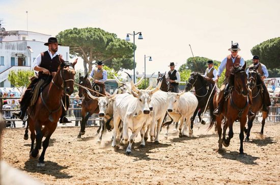 Montalto di Castro - fiera Maremma d'aMare