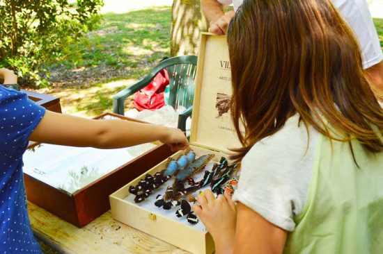 L'evento Aromataria all'orto botanico Angelo Rambelli 