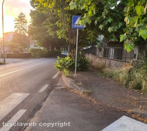 Viterbo - Erba alta in via Santa Maria della Grotticella