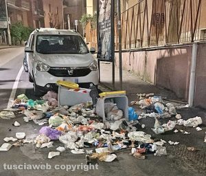 Cinghiali - Immondizia a terra tra via Vicenza e via Genova