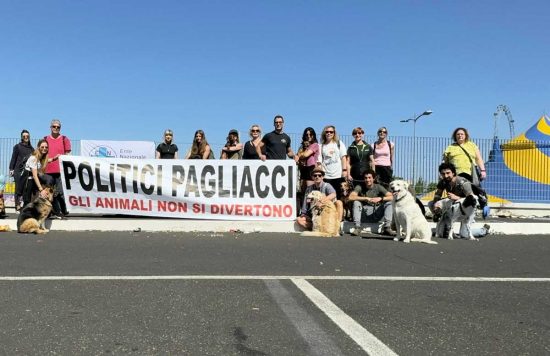 Viterbo - L'enpa protesta contro il circo con animali