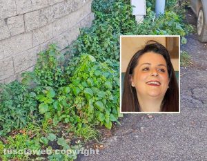 Erba a Viterbo - Nel riquadro Chiara Frontini