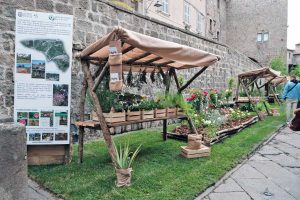 Viterbo - L'Unitus protagonista a San Pellegrino in fiore