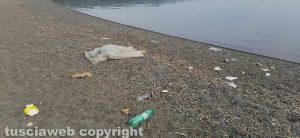 Capodimonte - Rifiuti sul lungolago