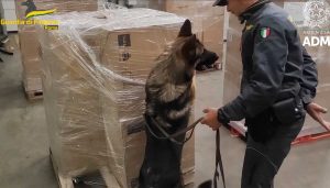 Civitavecchia - Guardia di finanza - Maxisequestro di droga al porto