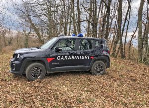 Un'auto dei carabinieri