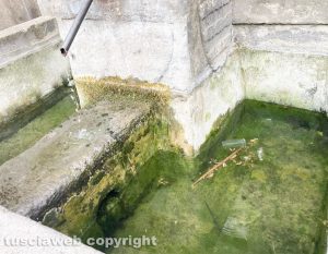 Viterbo - Città sporca e incuria nel giorno dell'inaugurazione di San Pellegrino in fiore