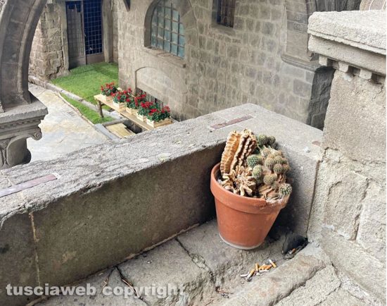 vViterbo - Città sporca e incuria nel giorno dell'inaugurazione di San Pellegrino in fiore