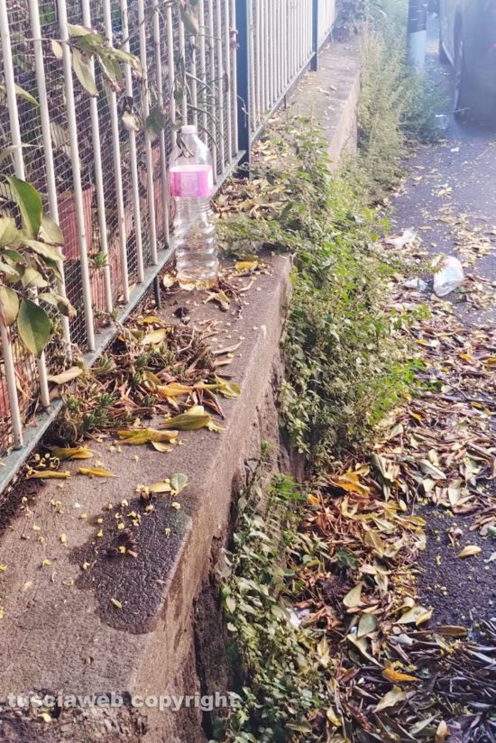 Viterbo - Sporcizia, abbandono ed erbacce in viale Bruno Buozzi e strade limitrofe
