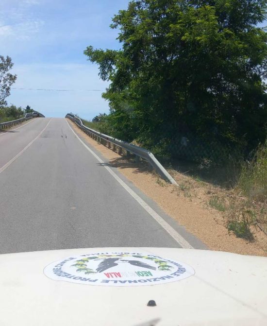Tarquinia - Camion perde il carico, intervento dei volontari Aeopc e polizia locale