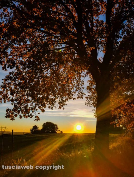 Viterbo - Tramonto in campagna