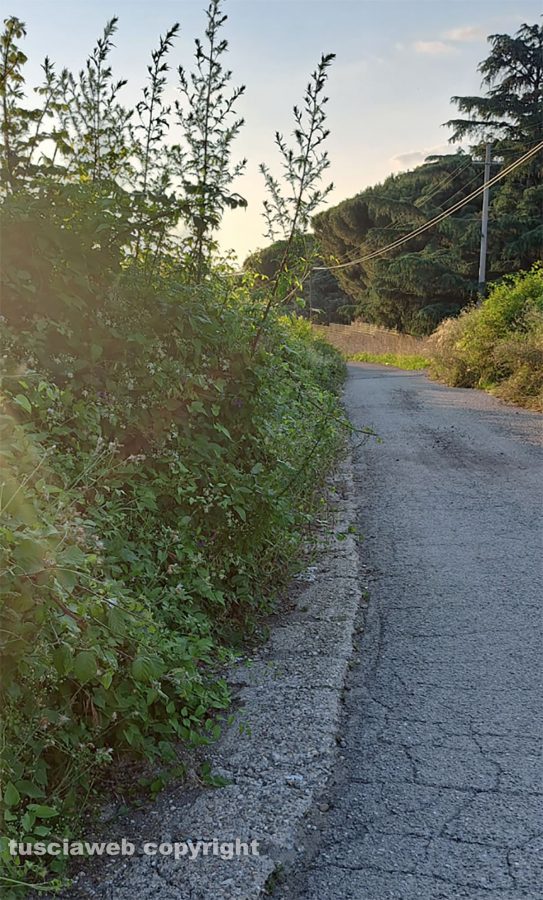 Viterbo - Buche e vegetazione in strada Respoglio