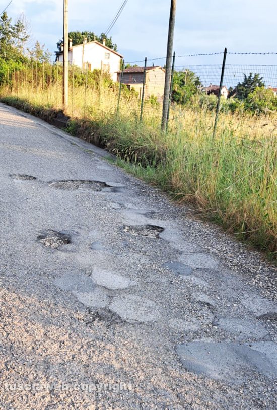 Viterbo - Buche e vegetazione in strada Respoglio