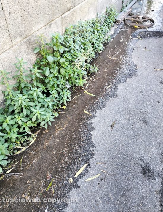 Viterbo - In via Pietro Vanni del liquame che fuoriesce da una fogna