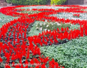 Viterbo - San Pellegrino in fiore