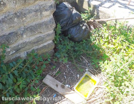 Viterbo - Via Vismara in zona Garbini - Immondizia abbandonata nell'erba alta