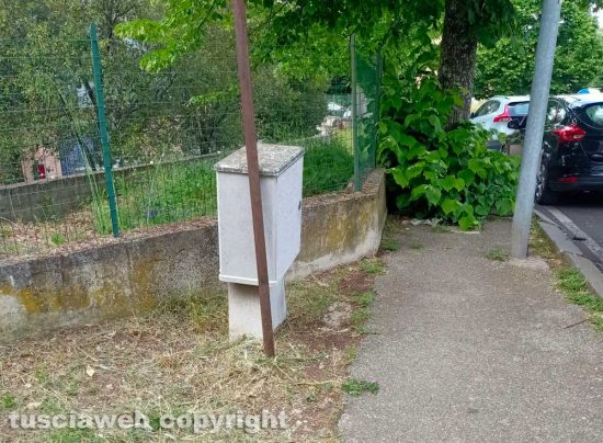 Viterbo - Erba alta sul marciapiede in via Ippolito Nievo 