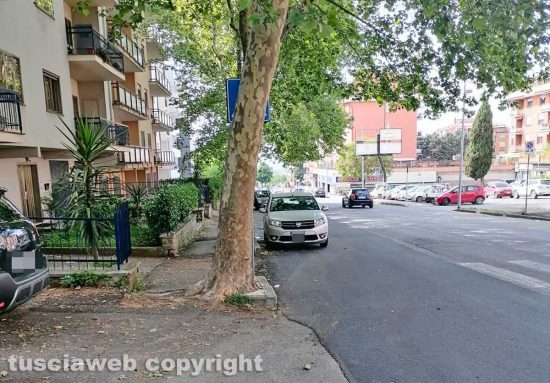 Viterbo - Il cartello stradale nascosto dietro l'albero in via C. Cattaneo