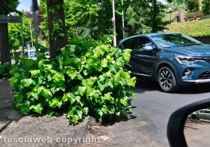 Viterbo - L'immissione in via Monte Cervino