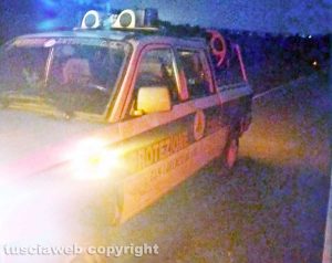 San Lorenzo Nuovo - Scontro auto-cinghiale sulla Cassia