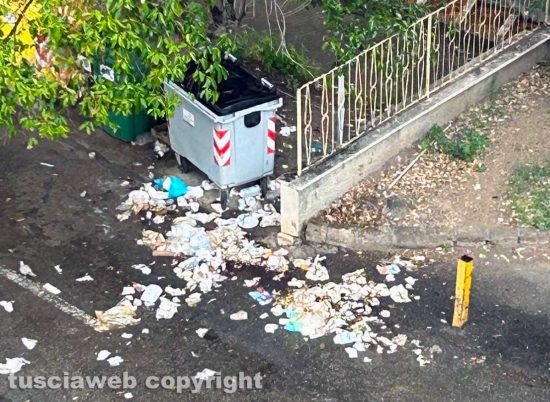 Viterbo - Rifiuti rovesciati dai cinghiali in via Treviso