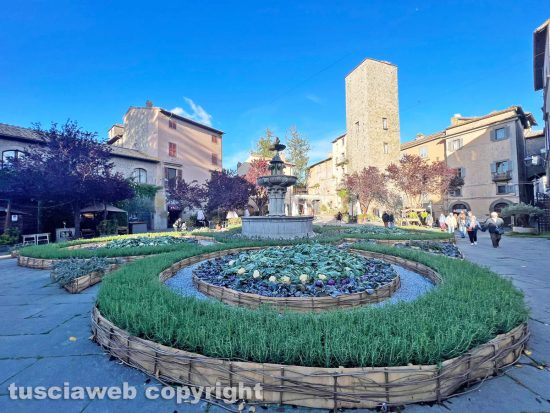 Viterbo - San Pellegrino in Fiore 2024, piazza del Gesù