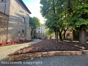 Viterbo - San Pellegrino in fiore 2024, piazza della Morte