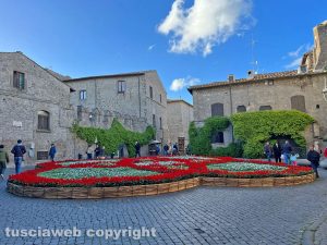 Viterbo - San Pellegrino in fiore 2024 - Piazza San Carluccio