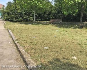 Viterbo - Rifiuti ed erba tagliata lasciata sul posto in viale Bruno Buozzi