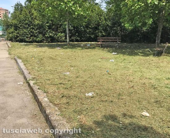 Viterbo - Rifiuti ed erba tagliata lasciata sul posto in viale Bruno Buozzi