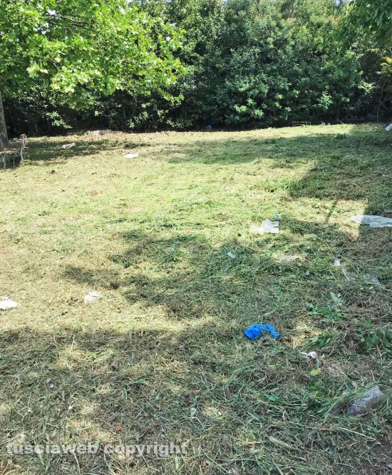 Viterbo - Rifiuti ed erba tagliata lasciata sul posto in viale Bruno Buozzi