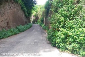 Viterbo - Erba alta in via Vico Squarano