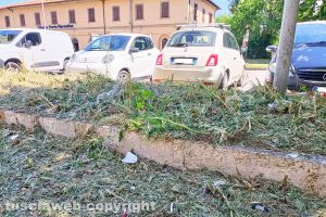 Viterbo - Il taglio dell'erba in viale Trento